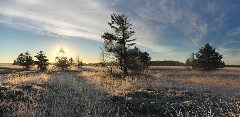 Evig foranderlig
